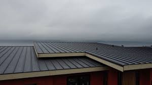 Best Hot Roofs  in Ocoee, FL